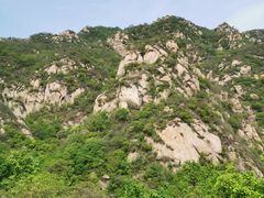 -大岭沟猕猴桃谷风景区