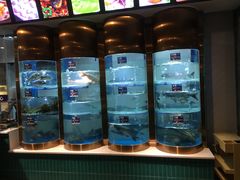 -香坝坝鲜鱼火锅(春熙路店)