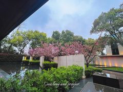 -九里云松·天香餐厅