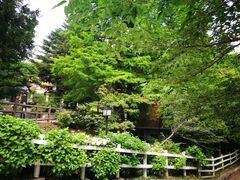-神户市立六甲山牧场