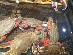 -福来齐·鲁菜海鲜·渔家菜(朝阳街分店)