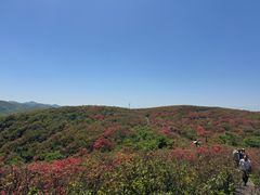 -大围山国家森林公园