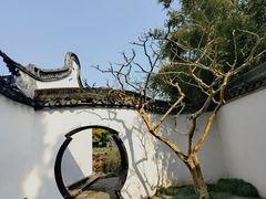 -上海醉白池公园