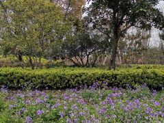 -石湖景区