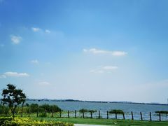 -七的湖·晚芳亭·阳澄湖农家菜·大闸蟹(莲花岛店)