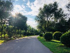 -永定河休闲森林公园