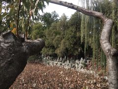 -莲池书院博物馆
