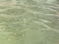 -春晖园度假酒店温泉