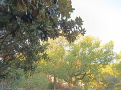 -申粤轩酒楼·三十年粤菜经典(丁香花园店)