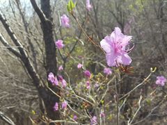 -白草畔自然风景区