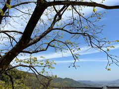 -溪口-滕头旅游景区