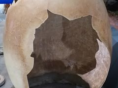 -湖南省地质博物馆