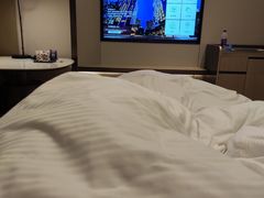 -深圳国际会展中心希尔顿酒店(前海华发冰雪世界店)