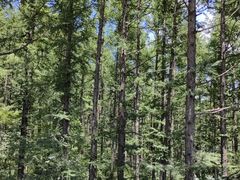 -白草畔自然风景区