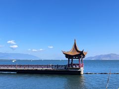 -洱海月湿地公园