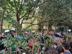 -韶山毛泽东同志故居