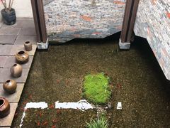 -几荷·恰似故人来(秀水广场店)