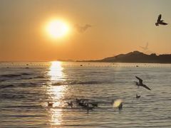 -真利味·脊骨火锅·正宗韩国料理(韩乐坊店)