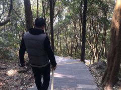 -银瓶嘴森林公园