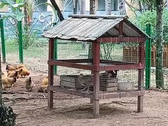 -三亚海棠湾万丽度假酒店