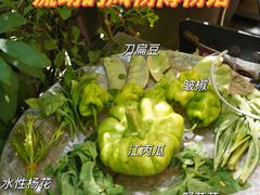 -缘生态云南菜·野生菌庭院餐厅(华侨城店)