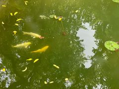 -四海公园(南山区)