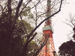-东京塔海贼王主题公园