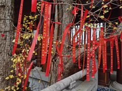 -昭山风景名胜区