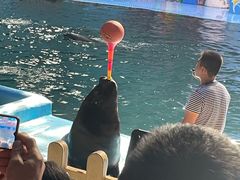 -蓬莱欧乐堡海洋极地世界
