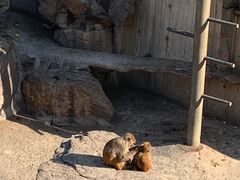 -无锡动物园·太湖欢乐园
