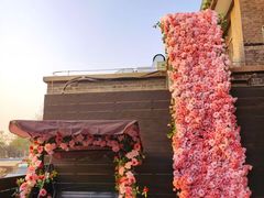 -庐灶江南·江南菜·四合院Bistro(东直门·华侨夜泊君亭店)