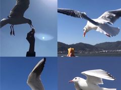 -海埂大坝