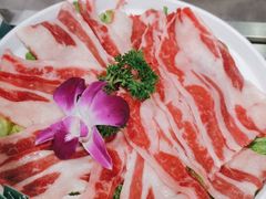 -鱼粤鲜淘米捞·中山脆肉鲩火锅(悦湖会店)