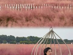 -嘉北郊野公园