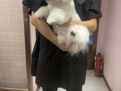 -FAELING PETS美天灵宠物(富力广场店)