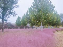 -东郊湿地公园