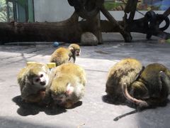 -西安秦岭野生动物园