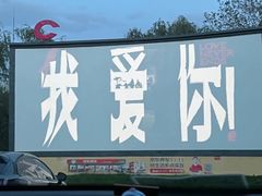 -枫花园汽车电影院(朝阳公园店)