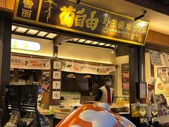 -菌自由丨野生菌火锅特色庭院餐厅(丽江古城店)