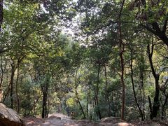 -岳麓山风景名胜区