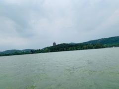 -西湖外事游船(花港观鱼码头)