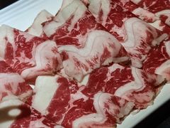 -渝大龙重庆火锅(温泉月亮湾店)