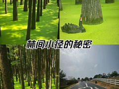-青山湖景区