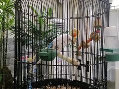 -丽江庭院之丽江往事(安定门店)