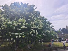 -宜兴龙背山森林公园