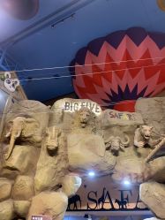 -卡通尼·Safari非洲探索乐园·生日会(金桥国际商业广场店)