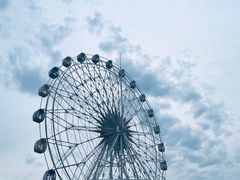 -奉贤海滩