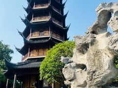 -红梅公园