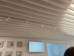 -喜茶(迪士尼小镇DP店)