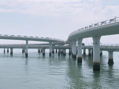 -演武大桥观景平台